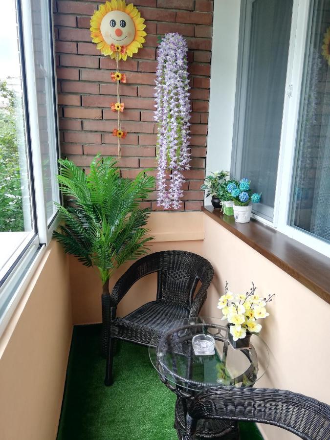 Apartment Ani 벨리코 터르노보 외부 사진